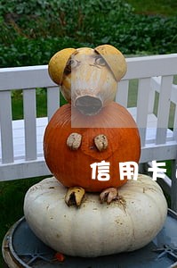 信用卡逾期去信用卡中心调解 信用卡逾期去信用卡中心调解