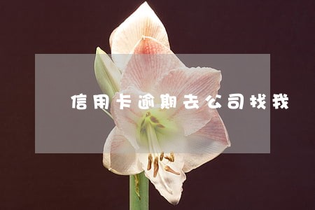 信用卡逾期去公司找我 信用卡逾期去公司找我