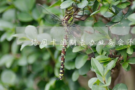 信用卡逾期去办业务会不会报警 信用卡逾期去办业务会不会报警