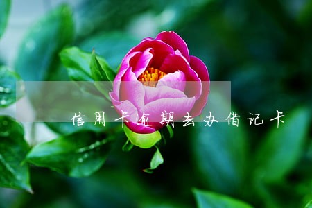 信用卡逾期去办借记卡