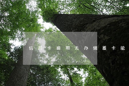 信用卡逾期去办储蓄卡能办吗 信用卡逾期去办储蓄卡能办吗