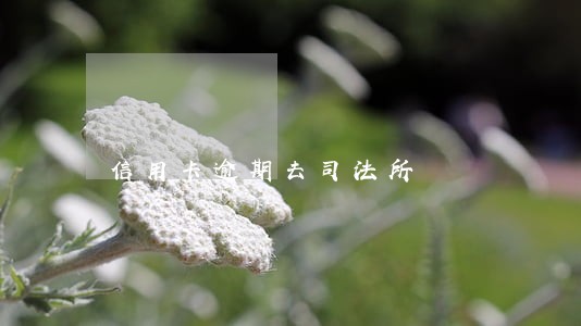 信用卡逾期去司法所 信用卡逾期去司法所