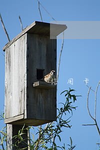 信用卡逾期去哪借款 信用卡逾期去哪借款