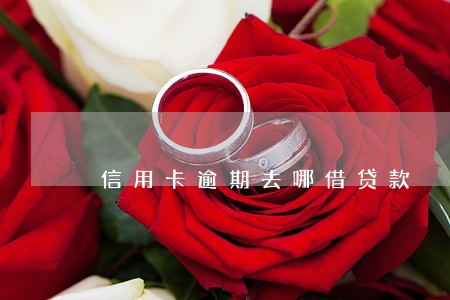 信用卡逾期去哪借贷款