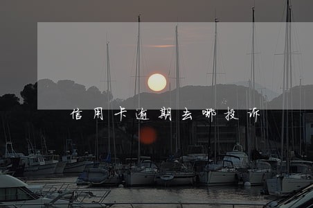 信用卡逾期去哪投诉 信用卡逾期去哪投诉