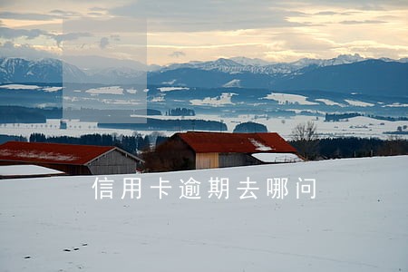 信用卡逾期去哪问 信用卡逾期去哪问