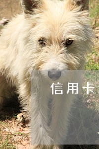 信用卡逾期去换身份证 信用卡逾期去换身份证