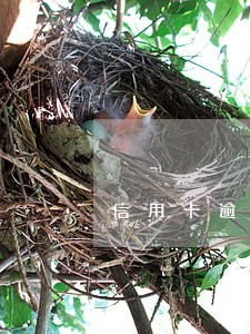 信用卡逾期去更换身份证 信用卡逾期去更换身份证