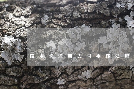 信用卡逾期去村委违法吗 信用卡逾期去村委违法吗
