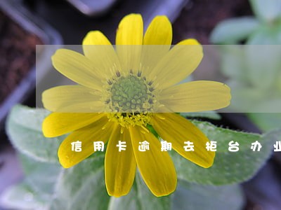 信用卡逾期去柜台办业务 信用卡逾期去柜台办业务