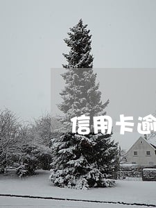 信用卡逾期去柜台还款会抓人吗 信用卡逾期去柜台还款会抓人吗