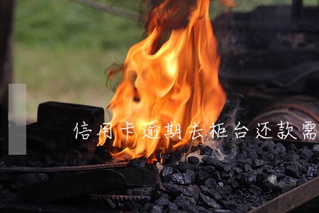 信用卡逾期去柜台还款需要什么 信用卡逾期去柜台还款需要什么