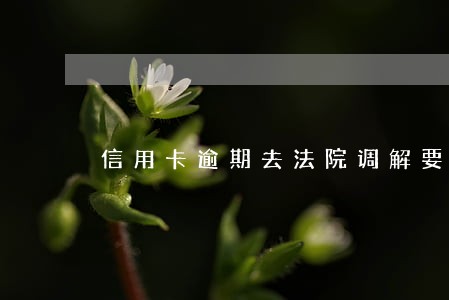 信用卡逾期去法院调解要多久 信用卡逾期去法院调解要多久