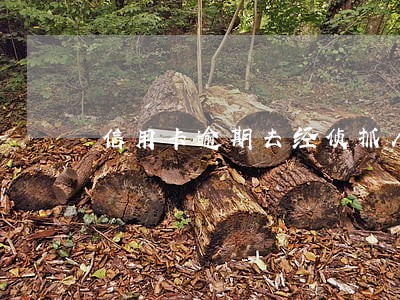 信用卡逾期去经侦抓人 信用卡逾期去经侦抓人