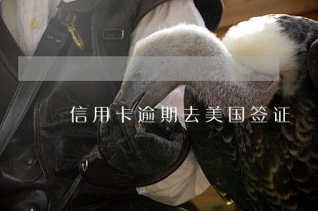 信用卡逾期去美国签证