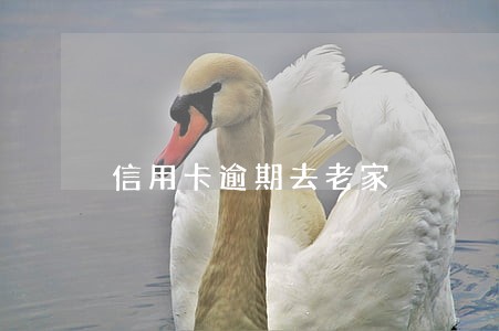 信用卡逾期去老家 信用卡逾期去老家