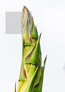 信用卡逾期去老家找人了