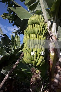 信用卡逾期去营业厅能解决吗 信用卡逾期去营业厅能解决吗