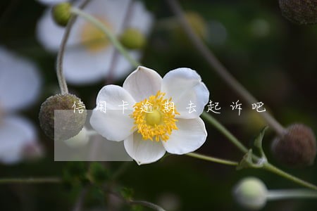 信用卡逾期去起诉吧 信用卡逾期去起诉吧