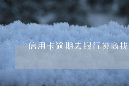 信用卡逾期去银行协商找谁 信用卡逾期去银行协商找谁
