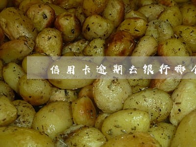 信用卡逾期去银行哪个部门 信用卡逾期去银行哪个部门