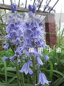 信用卡逾期去银行改预留号码 信用卡逾期去银行改预留号码