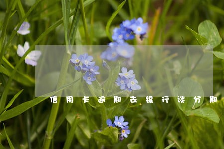 信用卡逾期去银行谈分期 信用卡逾期去银行谈分期
