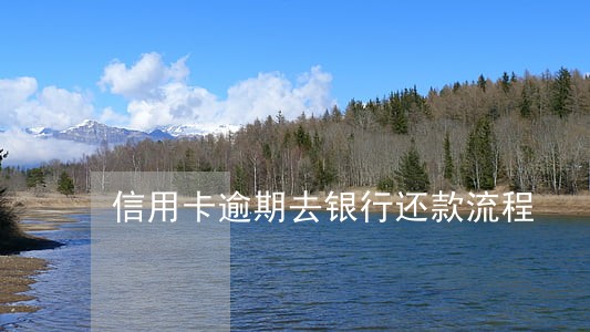 信用卡逾期去银行还款流程 信用卡逾期去银行还款流程