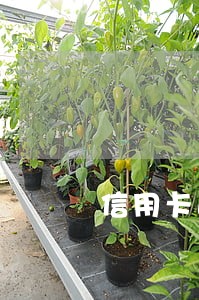 信用卡逾期去银行还能协商 信用卡逾期去银行还能协商