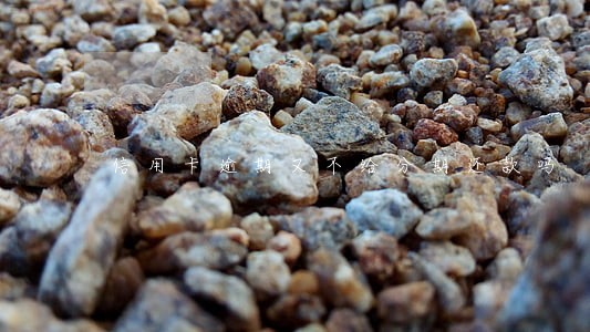 信用卡逾期又不给分期还款吗