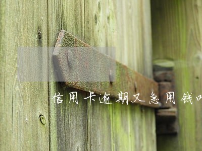 信用卡逾期又急用钱咋办