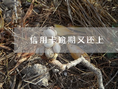 信用卡逾期又还上