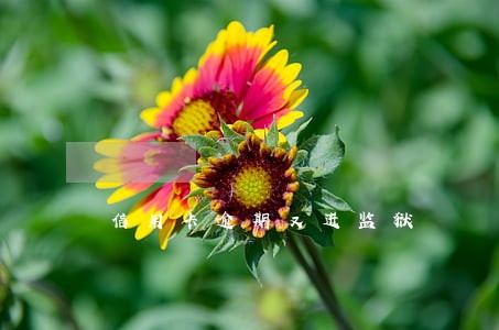 信用卡逾期又进监狱 信用卡逾期又进监狱