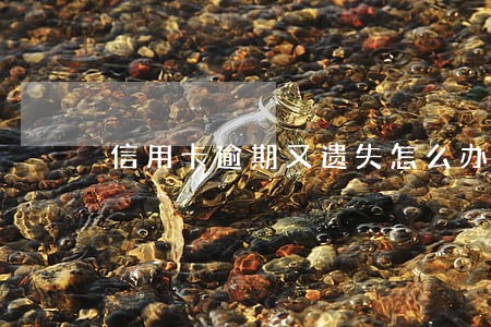 信用卡逾期又遗失怎么办 信用卡逾期又遗失怎么办