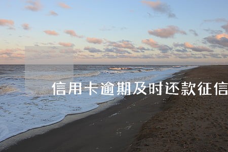 信用卡逾期及时还款征信
