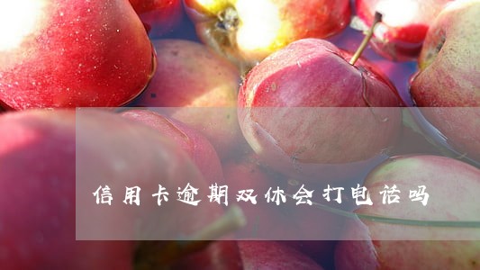 信用卡逾期双休会打电话吗 信用卡逾期双休会打电话吗