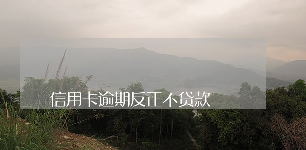 信用卡逾期反正不贷款 信用卡逾期反正不贷款