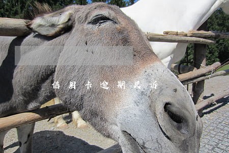 信用卡逾期反诉 信用卡逾期反诉