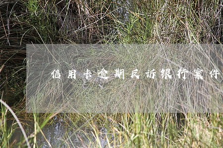信用卡逾期反诉银行案件 信用卡逾期反诉银行案件