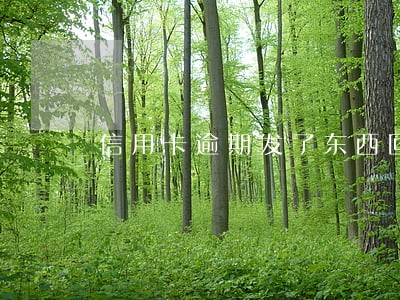 信用卡逾期发了东西回老家 信用卡逾期发了东西回老家