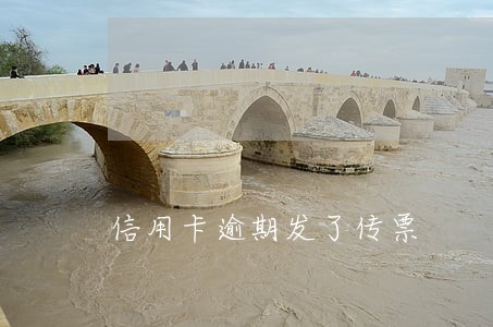 信用卡逾期发了传票 信用卡逾期发了传票