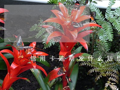 信用卡逾期发什么短信