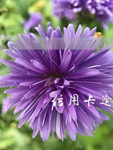 信用卡逾期发信函到单位合法吗 信用卡逾期发信函到单位合法吗