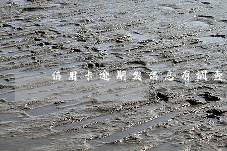 信用卡逾期发信息有调查团队 信用卡逾期发信息有调查团队