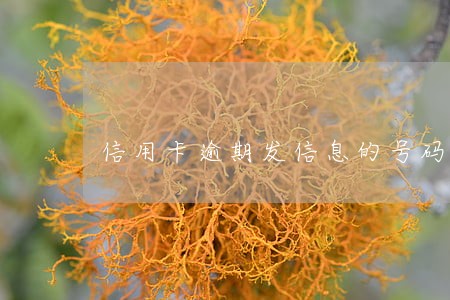 信用卡逾期发信息的号码