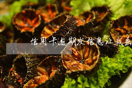 信用卡逾期发信息让我去经侦 信用卡逾期发信息让我去经侦