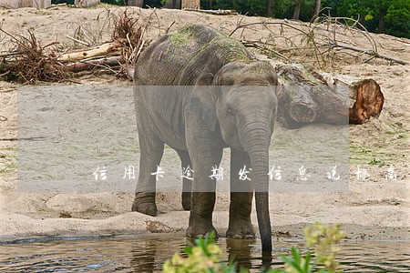 信用卡逾期发信息说协商