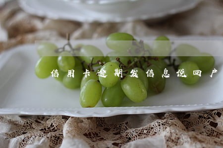 信用卡逾期发信息说回户籍地传唤 信用卡逾期发信息说回户籍地传唤