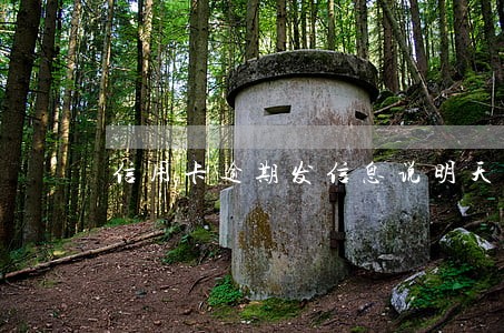 信用卡逾期发信息说明天开庭 信用卡逾期发信息说明天开庭