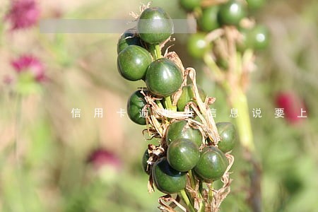 信用卡逾期发信息说要上门催收 信用卡逾期发信息说要上门催收